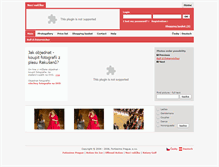Tablet Screenshot of galerie.fortissimo-prague.cz